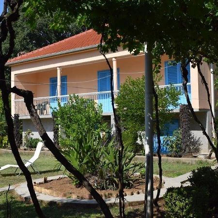 Apartman Morovic Sveti Filip i Jakov Buitenkant foto
